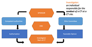 CRO Institut Studien