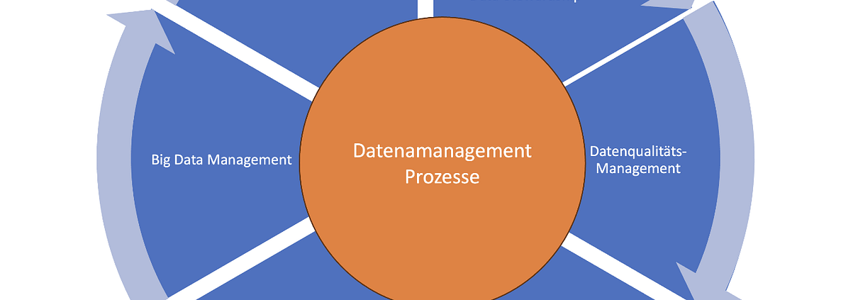 Titelbild zum Beitrag: Auditierung der Datenmanagement Prozesse (f&uuml;r klinische Pr&uuml;fungen)